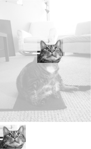 The new image will be just the cropped section of the original image.