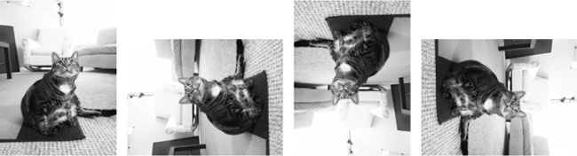 The original image (left) and the image rotated counterclockwise by 90, 180, and 270 degrees