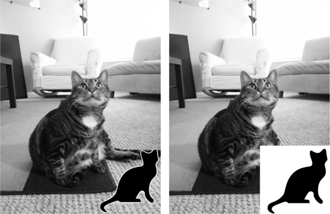 The image zophie.png resized and the logo added (left). If you forget the third argument, the transparent pixels in the logo will be copied as solid white pixels (right).