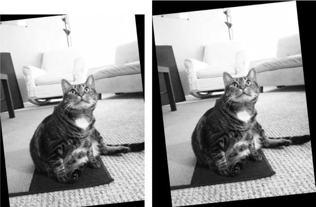 The image rotated 6 degrees normally (left) and with expand=True (right)