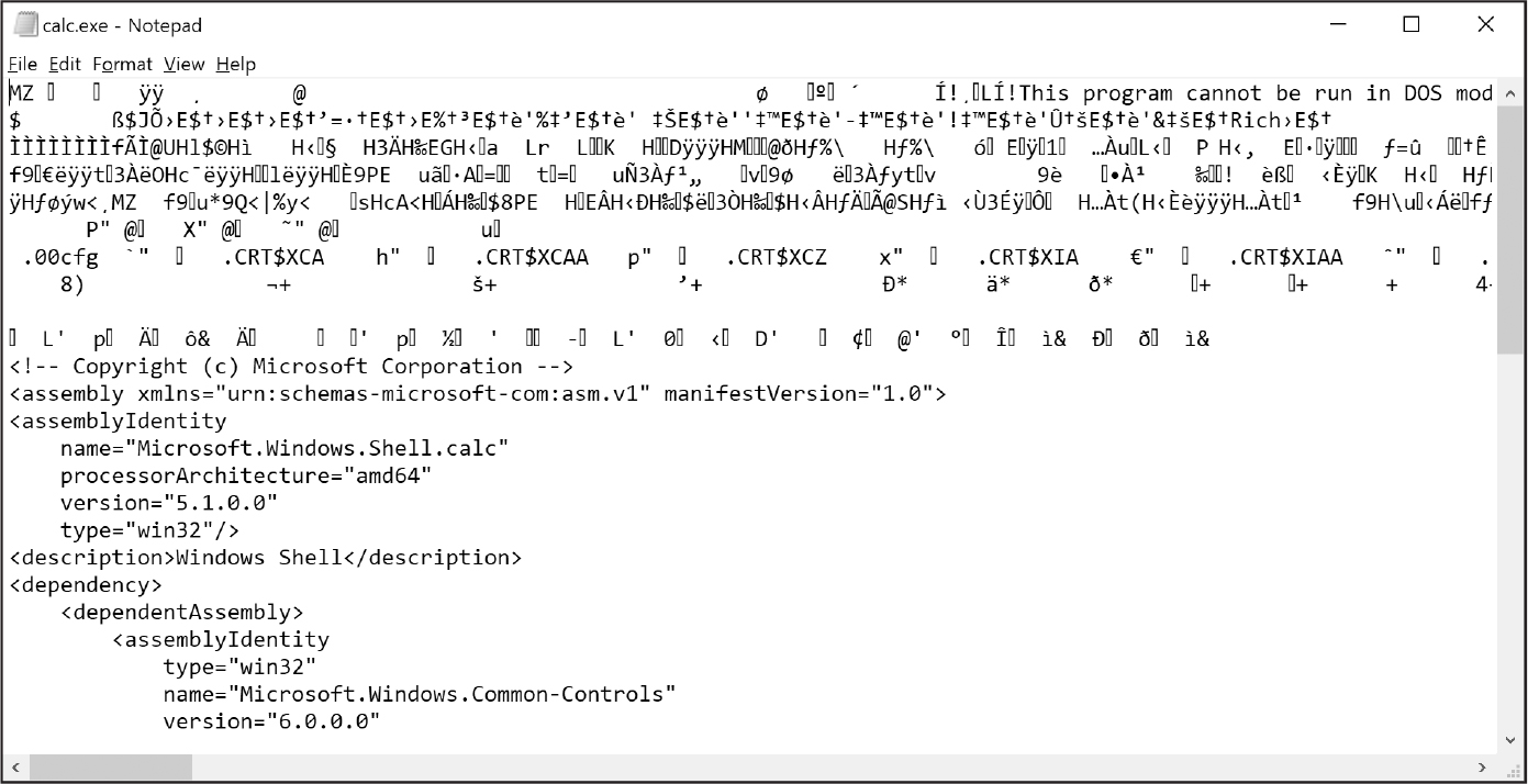 A Notepad window containing incomprehensible characters and source code.