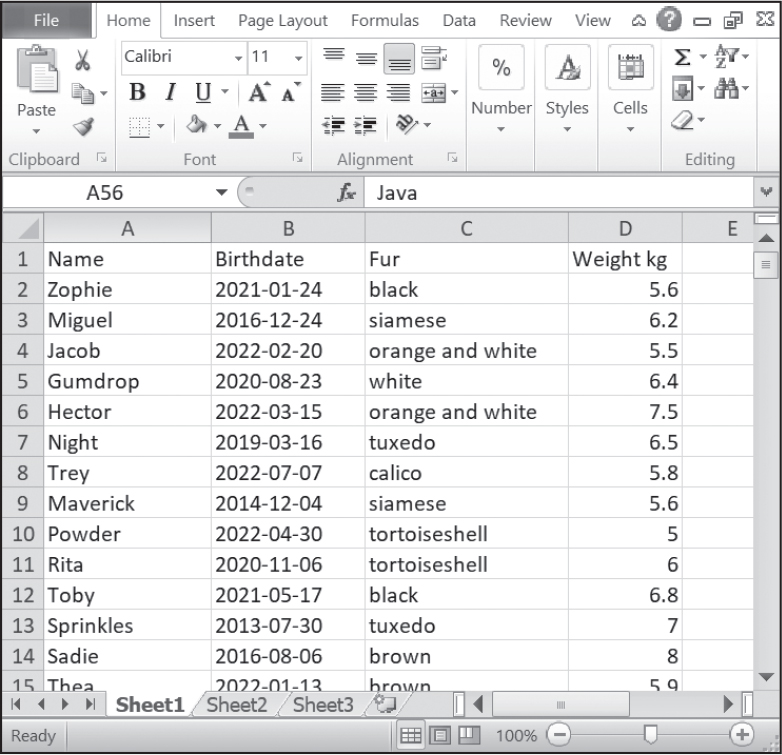 An Excel spreadsheet containing the columns “Name”, “Birthdate”, “Fur”, and “Weight kg.” The rows are populated with information about cats.