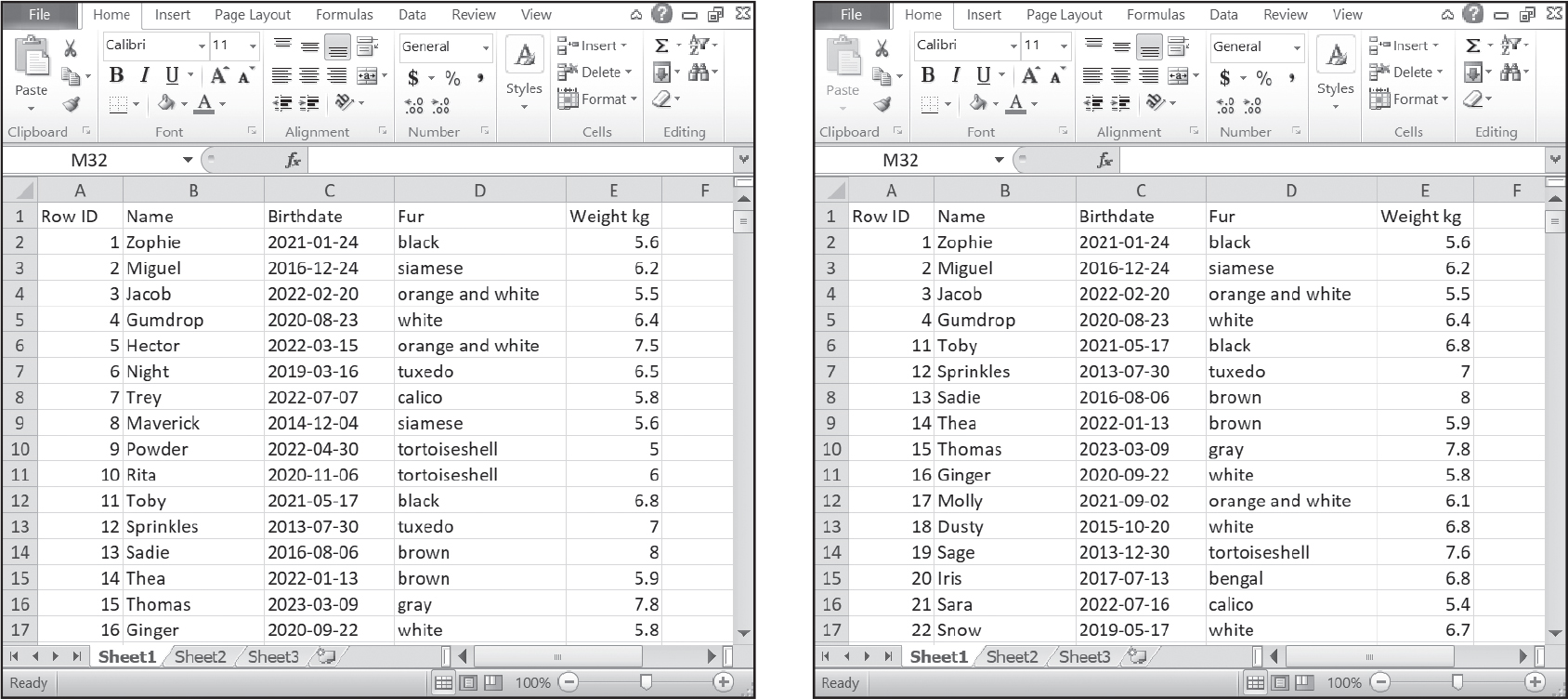 Two versions of an Excel spreadsheet with the columns “Row ID”, “Name”, “Birthdate”, “Fur”, and “Weight kg”. The “Row ID” column contains sequential ID numbers. In the second version of the spreadsheet, the rows with the IDs 5 through 10 have been deleted, and the column jumps straight from the row with the ID value of 4 to the row with the ID value of 11.