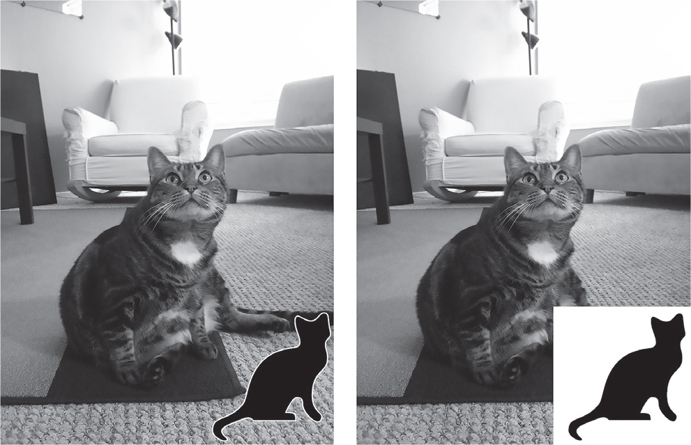 Two versions of the cat photograph with the cat logo added to the bottom-right corner. In the second version, the cat logo is contained in a white-filled rectangle.
