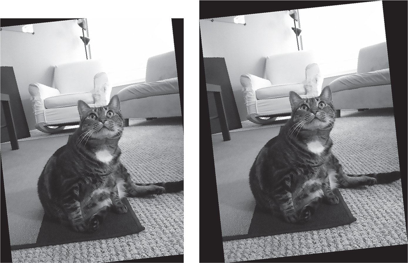 Two versions of the cat photograph slightly rotated to the left. In the first, the corners of the original photograph are cut off. In the second, the photo is resized so that the corners fit inside the original rectangle.