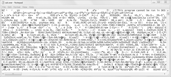 The Windows calc.exe program opened in Notepad